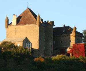 Château de Frontenay